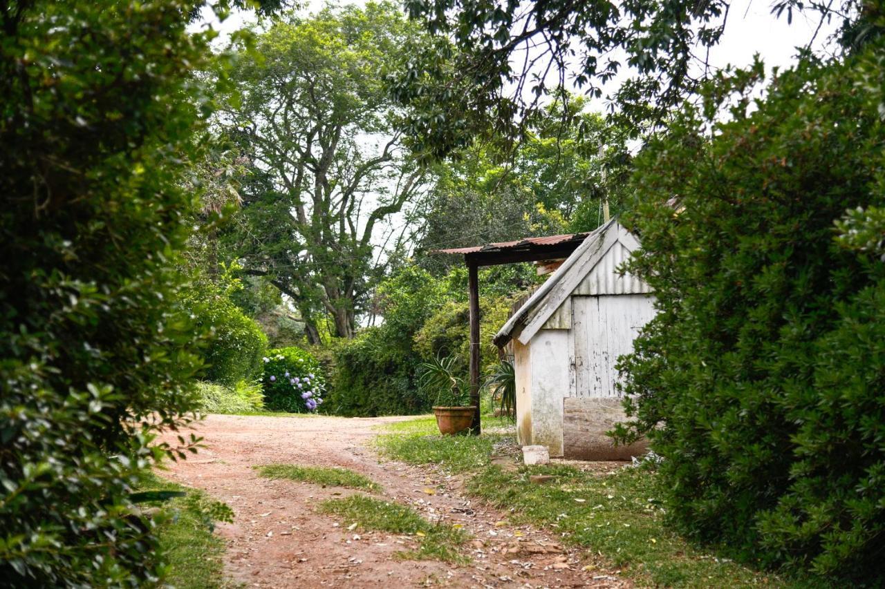 The Knoll Historic Guest Farm Villa Hilton Kültér fotó